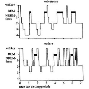 0d3673dfb8907d5b8649512d4b355989